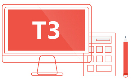 T3Ʒ